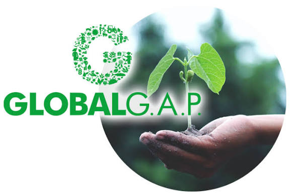Global GAP