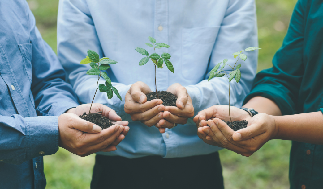 ISO 14001 Çevre Yönetimi
